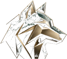 Wolftex Gestão & Conexões